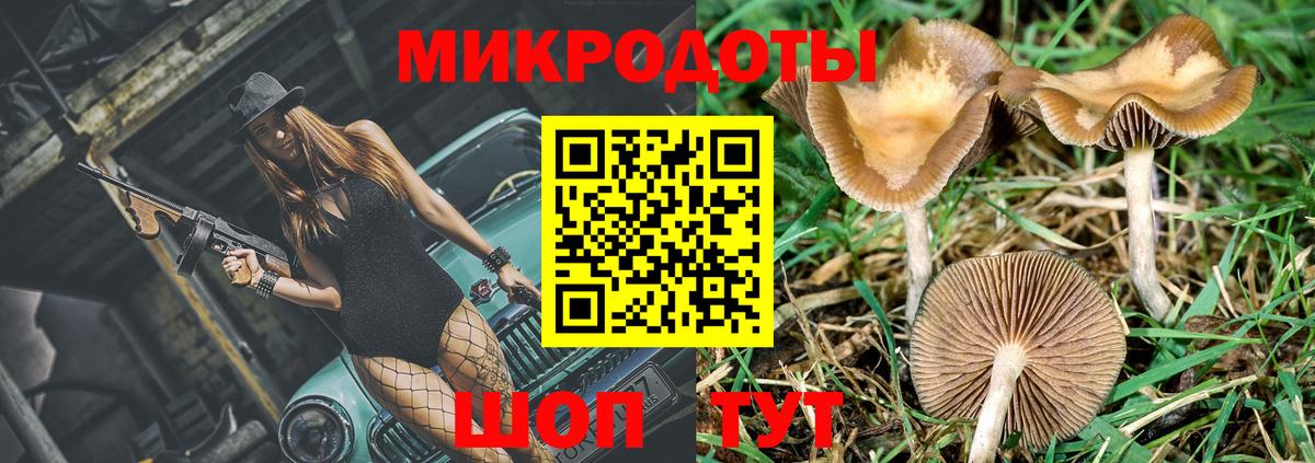 Галлюциногенные грибы Cubensis Донецк