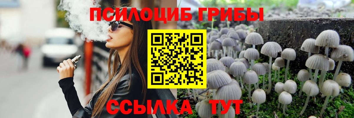 Донецк  Псилоцибиновые грибы мицелий  Вход с VPN 